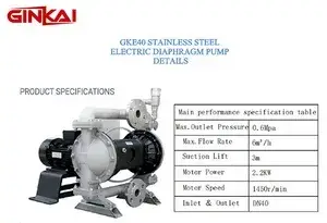 Pompe EODD en acier inoxydable GKE40