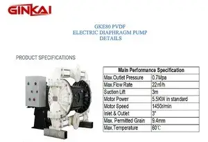 Pompe à membrane électrique en PVDF GKE80