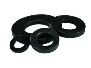 Sièges de clapet en Viton