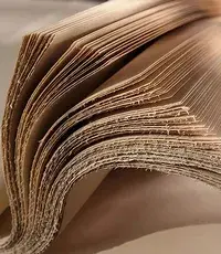 Pâte et papier