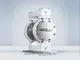 Pompe à membrane pneumatique en PTFE 1"