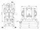 Pompe AODD en PVDF 1/4"